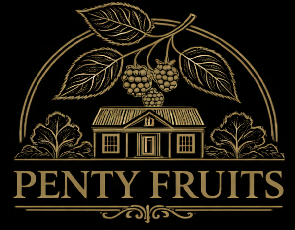 Logo Penty Fruits avec illustration de petits fruits au-dessus d’une maison, design noir et or pour marque artisanale de jeunes arbres fruitiers.