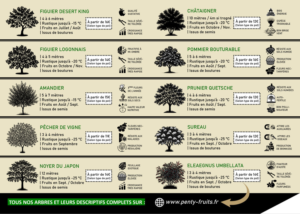 Liste d'arbres disponibles à la pépinière PENTY FRUITS présenté sur une plaquette commerciale