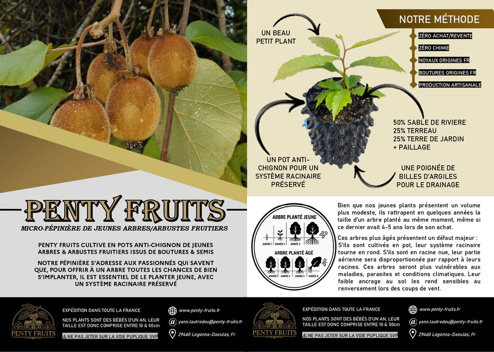 Présentation de la pépinière PENTY FRUITS et de sa méthode de production présentée sur une plaquette commerciale 