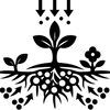 Icône représentant un arbre avec des racines présentant des nodules blancs et des flèches ascendantes, symbolisant la fixation de l'azote atmosphérique dans le sol pour fertiliser naturellement la plante et celles qui l'entoure