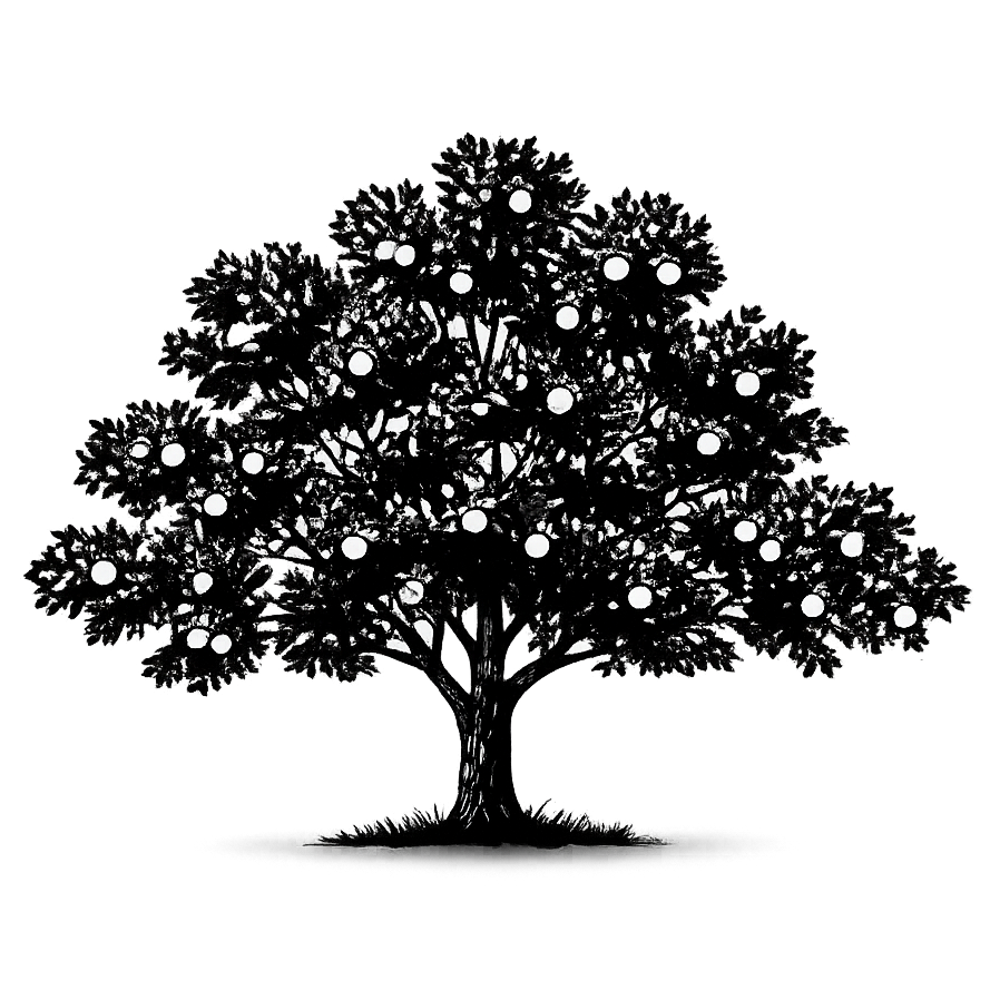 Silhouette noire d'un pommier, malus, illustrant la forme adulte de cette espèce