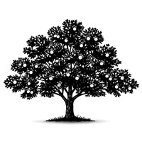 Silhouette noire d'un pommier, malus, illustrant la forme adulte de cette espèce