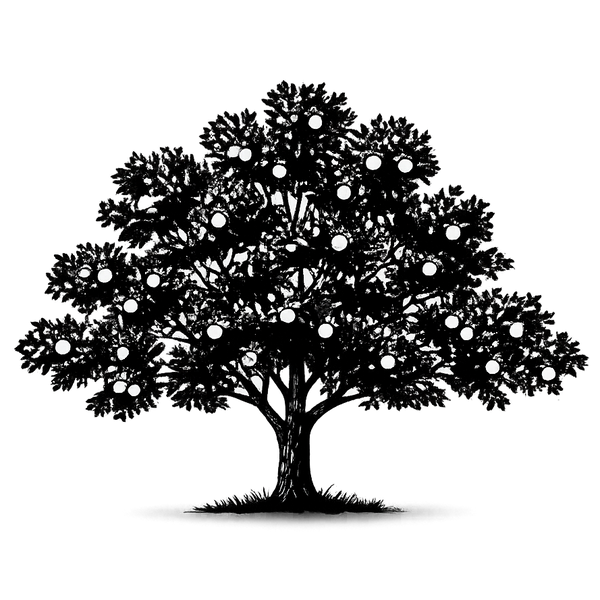 Silhouette noire d'un pommier, malus, illustrant la forme adulte de cette espèce