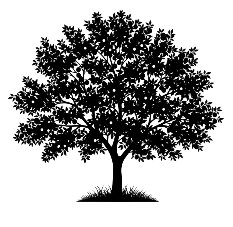 Silhouette noire d'un prunier, prunus domestica, variété badoual illustrant la forme adulte de cette espèce