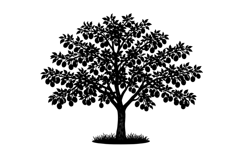 Silhouette noire d'un prunier, prunus domestica, variété thames cross illustrant la forme adulte de cette espèce
