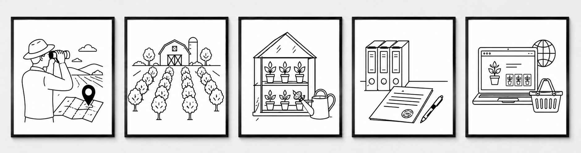 Illustration en ligne des 5 étapes pour la création d'une pépinière : recherche de terrain, implantation verger, multiplication des plants, gestion administrative et vente en ligne.