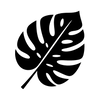 Icône de feuille de monstera symbolisant un feuillage exotique