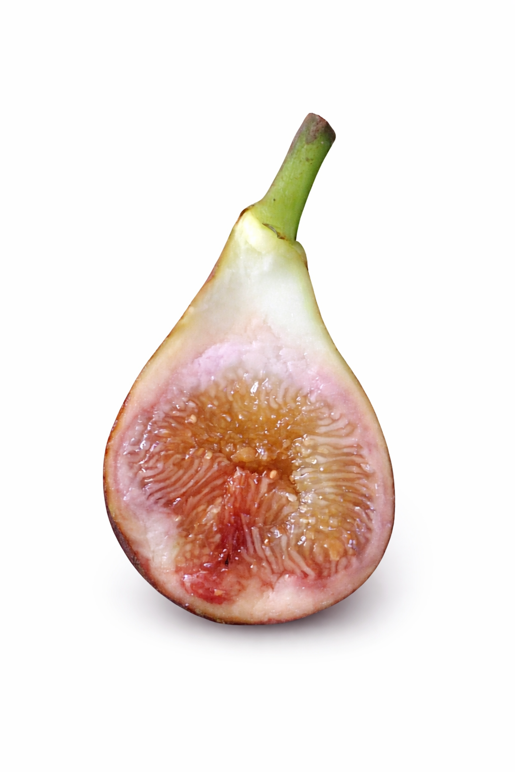 Vue en coupe d'une figue Madeleine des deux saisons (Ficus carica) révélant une chair miel-rosée translucide et une peau fine jaune doré à reflets rosés