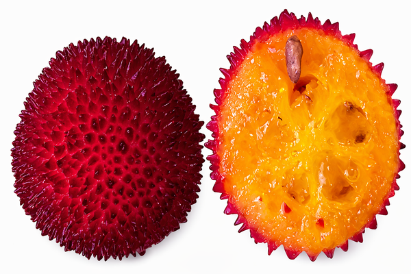 Fruit d'un arbousier, arbus unedo, coupé en deux montrant sa peau rugueuse rouge et sa chair orange.