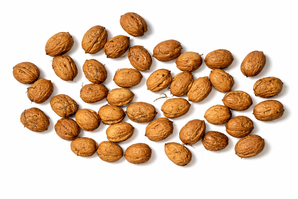 Récolte au verger penty fruits de noix (Juglans regia) en coques, montrant une texture ligneuse typique et une couleur dorée saine