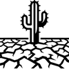 Illustration en noir et blanc montrant un cactus poussant sur une terre craquelée par la sécheresse, symbolisant la résistance des végétaux en sol très sec et aride
