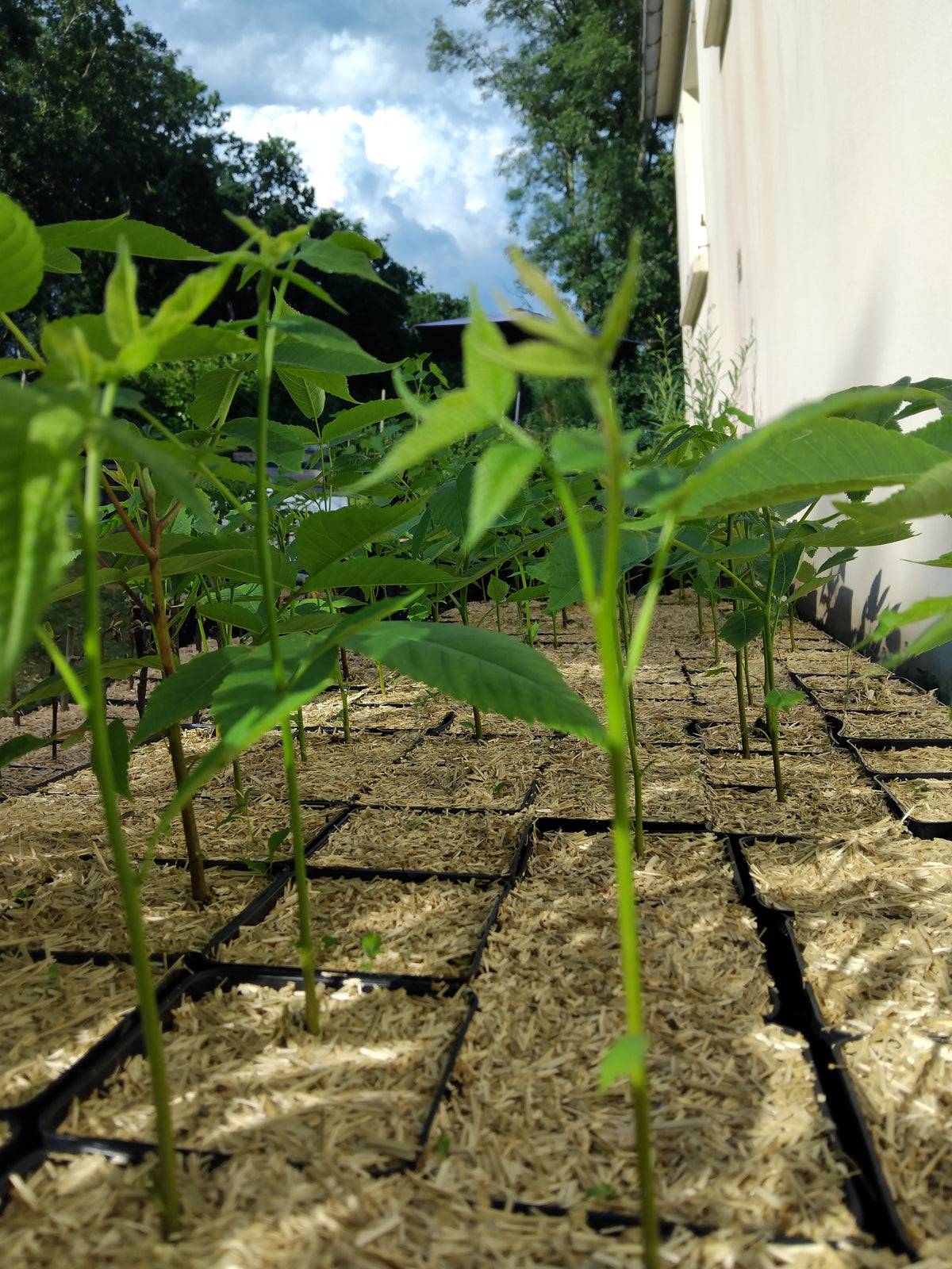 Production personnalisée